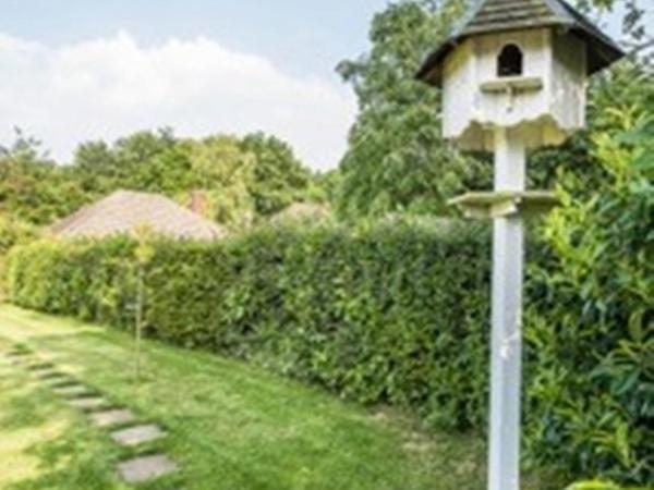 Knole B&B Sevenoaks Eksteriør bilde